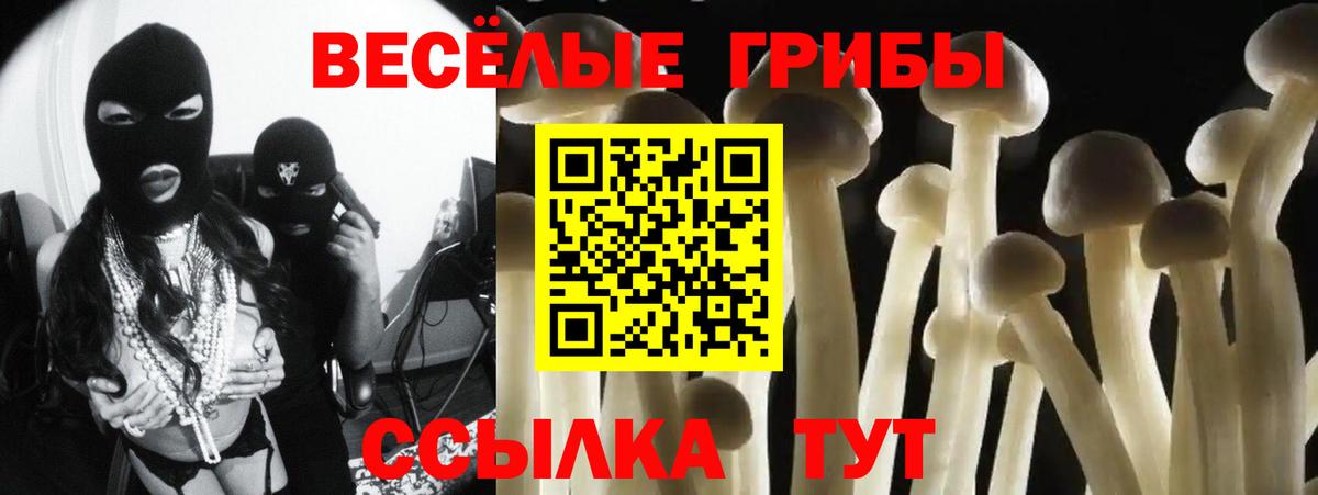 где найти наркотики  Вход с VPN  Пыть-Ях  Галлюциногенные грибы MAGIC MUSHROOMS 